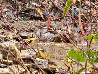 시금치15102님의 작성글 사진