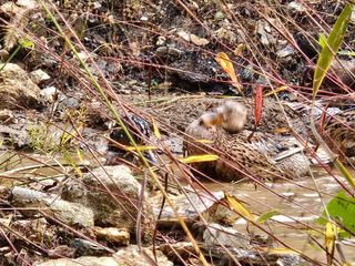 시금치15102님의 작성글 사진