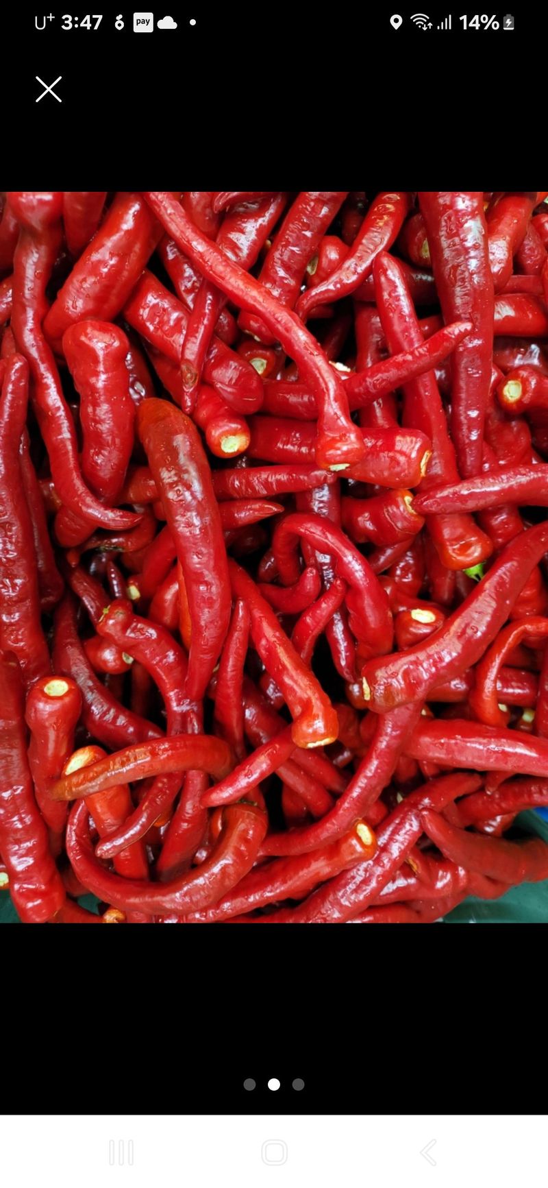 장터 상품 [파주 고춧가루] 썸네일