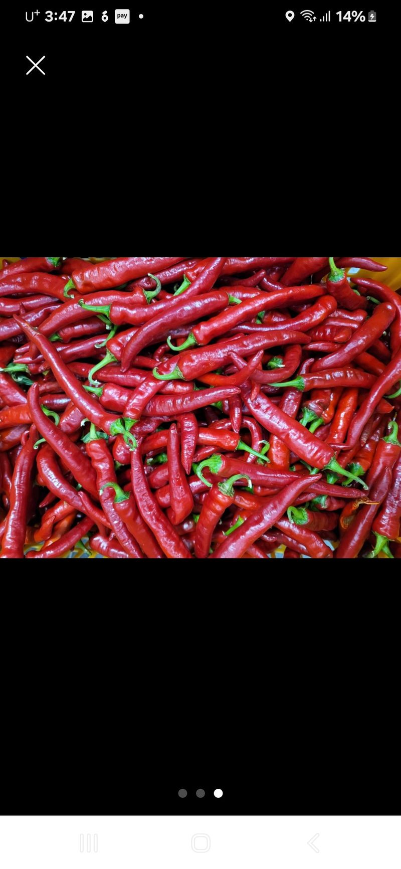 김선옥님의 장터 판매 상품 [파주 고춧가루] 첨부 사진