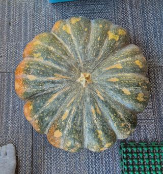 최병연님의 자유주제 · 건의해요 작성글 사진