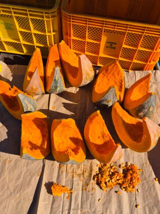 최병연님의 자유주제 · 건의해요 작성글 사진