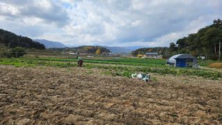 김남근님의 콩 · 영농일지 작성글 사진