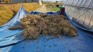 김남근님의 콩 · 영농일지 작성글 사진