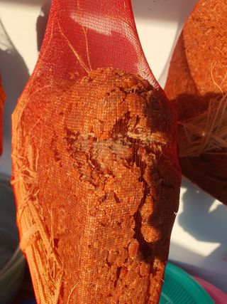 옥천서화농님의 자유주제 · 자유게시판 작성글 사진