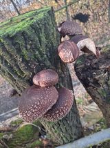 팜모닝 자유주제·자유게시판 게시글 이미지