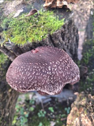 조재덕님의 자유주제 · 자유게시판 작성글 사진