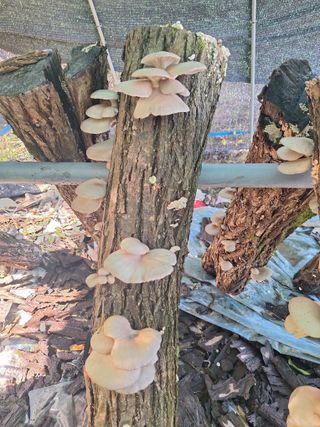 조재덕님의 자유주제 · 자유게시판 작성글 사진