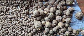 박동현님의 자유주제 · 자유게시판 작성글 사진