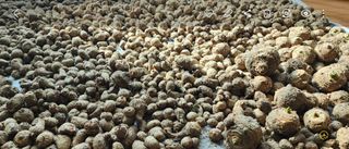 박동현님의 자유주제 · 자유게시판 작성글 사진