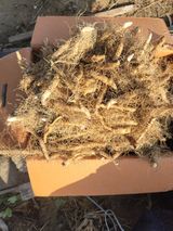 팜모닝 · 게시글 이미지