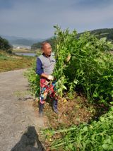 팜모닝 · 게시글 이미지