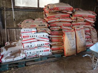 알 수 없음님의 자유주제 · 자유게시판 작성글 사진