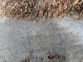 알 수 없음님의 자유주제 · 자유게시판 작성글 사진