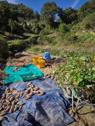 봉림동 태진농장님의 자유주제 · 자유게시판 작성글 사진