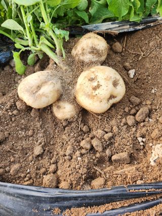 최승일님의 자유주제 · 자유게시판 작성글 사진