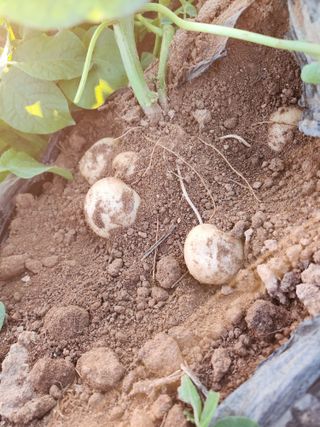 최승일님의 자유주제 · 자유게시판 작성글 사진