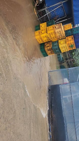 백화산지킴이산야초님의 농사를 망친 작은 실수들 · 참여글 작성글 사진