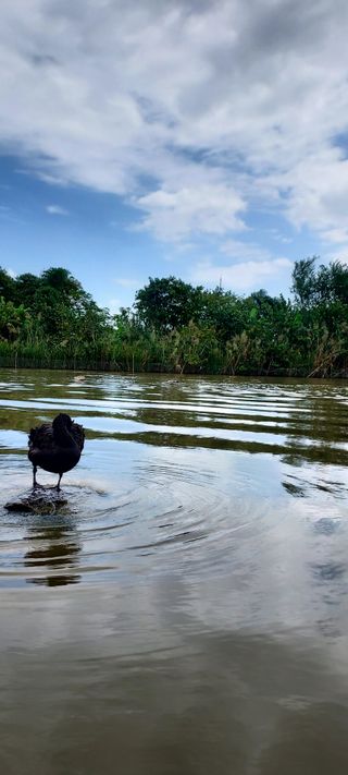 안재성님의 자유주제 · 사진전 작성글 사진