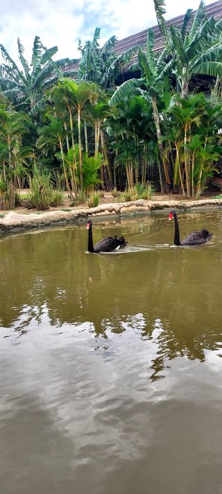 안재성님의 자유주제 · 사진전 작성글 사진