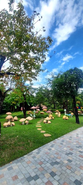 안재성님의 자유주제 · 사진전 작성글 사진