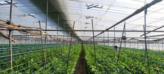 박기룡님의 자유주제 · 자유게시판 작성글 사진