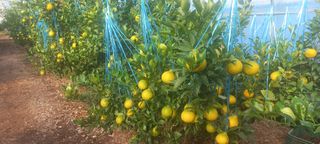 이호님의 자유주제 · 자유게시판 작성글 사진