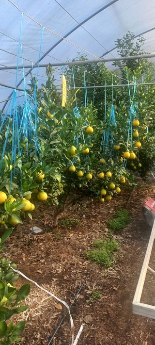 이호님의 자유주제 · 자유게시판 작성글 사진