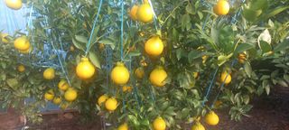 이호님의 자유주제 · 자유게시판 작성글 사진