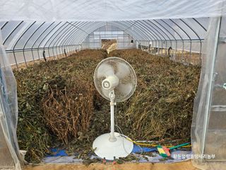 황둔얼렁뚱땅체리농부님의 자유주제 · 자유게시판 작성글 사진