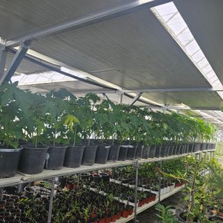 감자3154님의 자유주제 · 자유게시판 작성글 사진