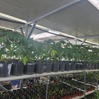 감자3154님의 자유주제 · 자유게시판 작성글 사진