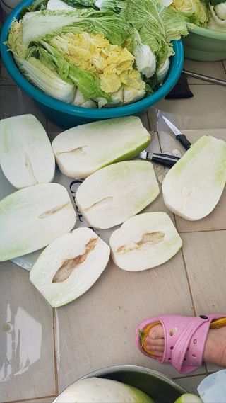 대성약초농원님의 자유주제 · 자유게시판 작성글 사진