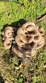 팜모닝 자유주제·사진전 게시글 이미지