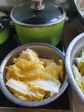 평강님의 배추 · 영농일지 작성글 사진