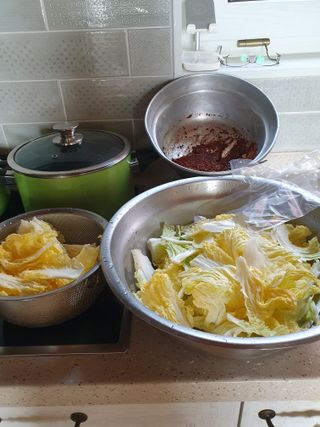 평강님의 배추 · 영농일지 작성글 사진