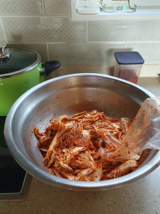 평강님의 배추 · 영농일지 작성글 사진