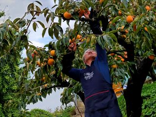 유광열님의 자유주제 · 자유게시판 작성글 사진