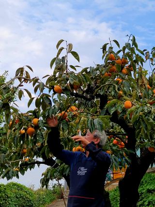 유광열님의 자유주제 · 자유게시판 작성글 사진