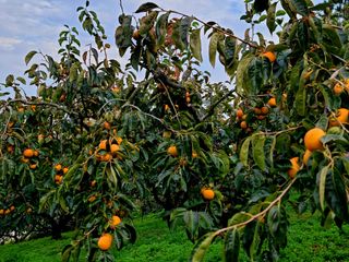 유광열님의 자유주제 · 자유게시판 작성글 사진