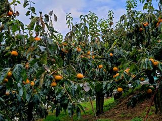 유광열님의 자유주제 · 자유게시판 작성글 사진
