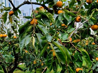 유광열님의 자유주제 · 자유게시판 작성글 사진