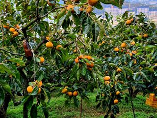 유광열님의 자유주제 · 자유게시판 작성글 사진