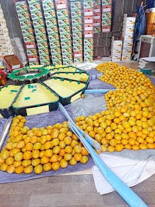 유광열님의 자유주제 · 자유게시판 작성글 사진