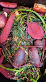 팜모닝 자유주제·자유게시판 게시글 이미지