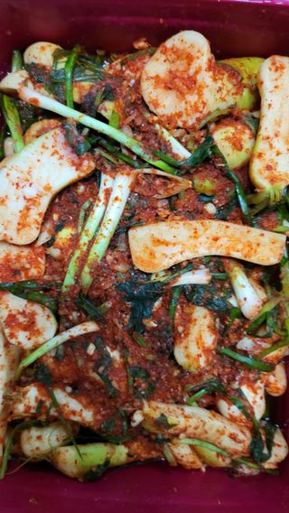 초보님의 자유주제 · 자유게시판 작성글 사진