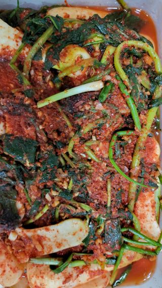 초보님의 자유주제 · 자유게시판 작성글 사진