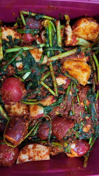 초보님의 자유주제 · 자유게시판 작성글 사진