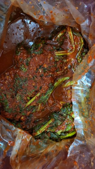 초보님의 자유주제 · 자유게시판 작성글 사진