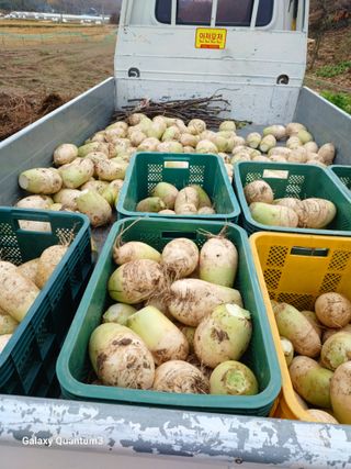 이창우님의 자유주제 · 자유게시판 작성글 사진